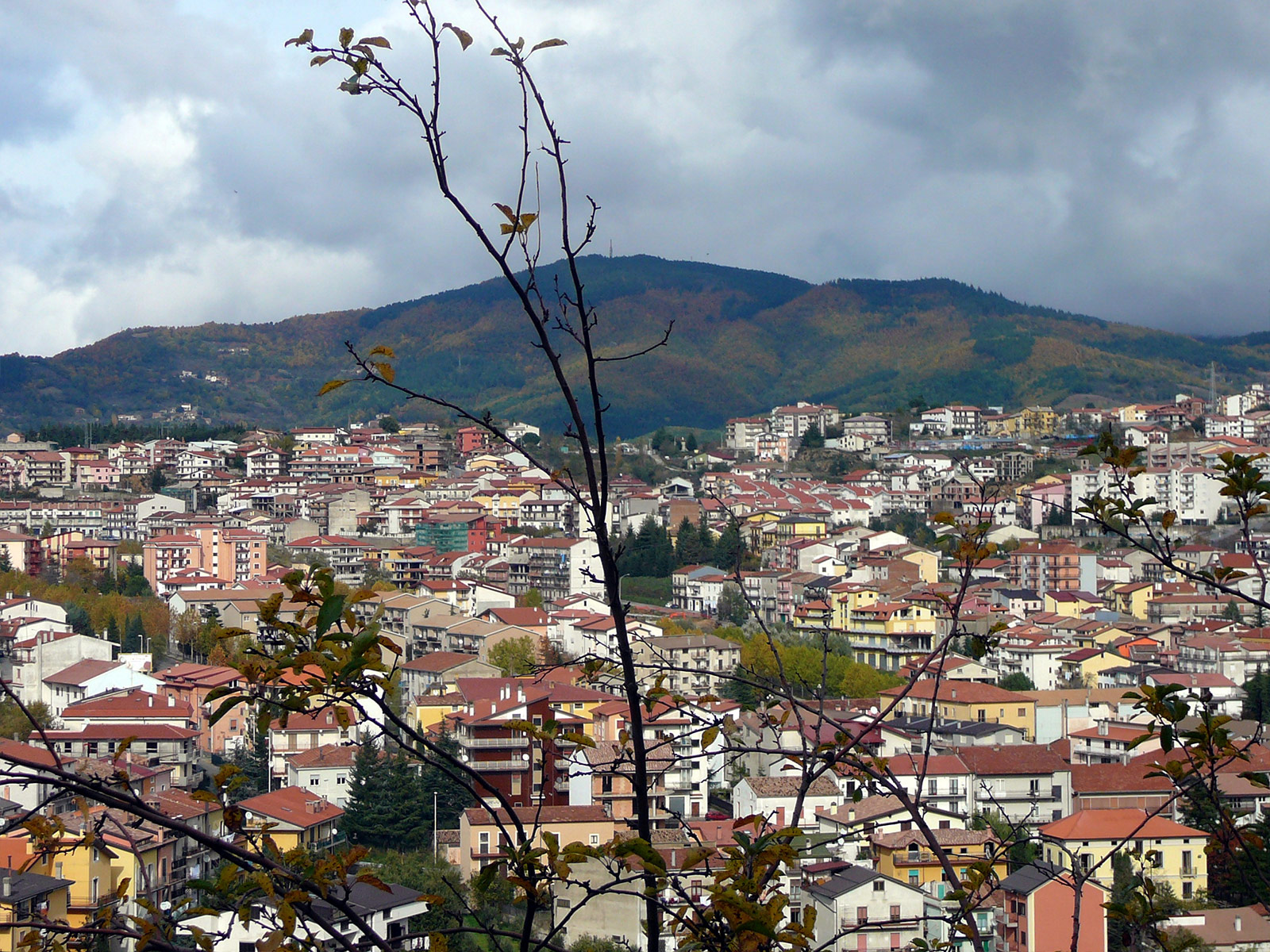 Acri